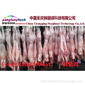 Fresh Healthy Tasty Self-produced Rabbit Meat